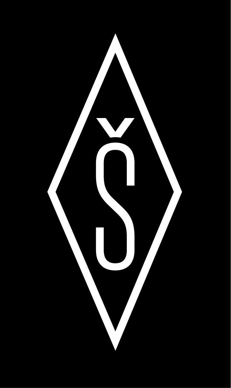 logo-s-noir1